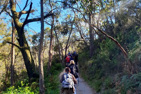 Self-Guided Waterfall Gully To Mount Lofty Hike From Adelaide - Accommodation NSW 7