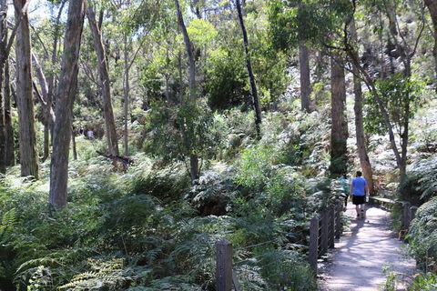 Self-Guided Waterfall Gully To Mount Lofty Hike From Adelaide - Accommodation NSW 3