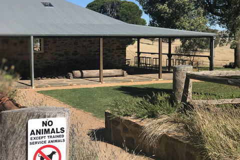 Barossa Valley Via Hahndorf ( Historical German Village ) Inc Maggie Beers Farm - Accommodation NSW 33