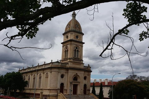 Adelaide Walking Tour: Grand Mansions And Sub-Divisions - Accommodation NSW 2