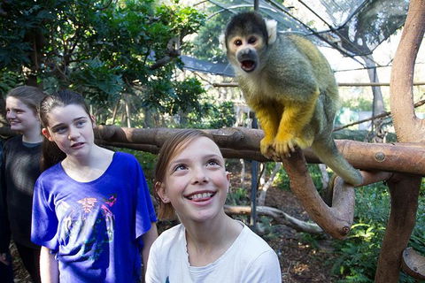 Adelaide Zoo Behind The Scenes Experience: Squirrel Monkey Feeding - Accommodation NSW 1