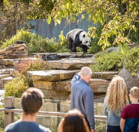 Adelaide Zoo Behind the Scenes Experience Panda and Friends Tour - Accommodation NSW