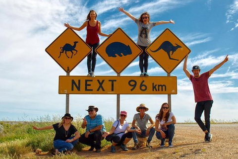 10-Day Adelaide To Perth Adventure Tour - Accommodation NSW 1