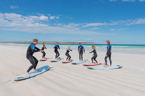 10-Day Adelaide To Perth Adventure Tour - Accommodation NSW 9