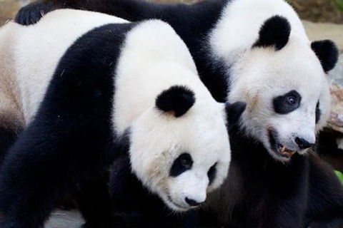 Adelaide City Tour With Optional River Cruise And Adelaide Zoo Admission - Accommodation NSW 1