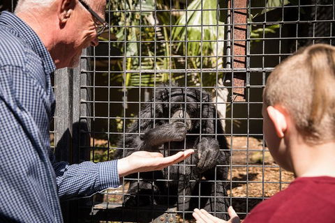 Adelaide Zoo Behind The Scenes Experience: Meet The Primates - Accommodation NSW 1