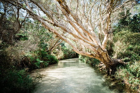 All-Inclusive 2-Day Fraser Island Tour - Accommodation NSW 11