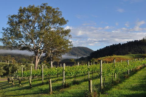 Full Day Mount Tamborine Winery Tour From Gold Coast - Accommodation NSW 15