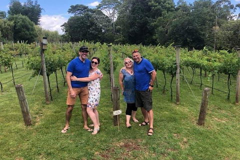 Full Day Mount Tamborine Winery Tour From Gold Coast - Accommodation NSW 6