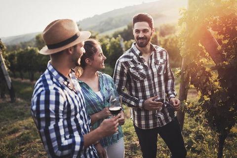 Full Day Mount Tamborine Winery Tour From Gold Coast - Accommodation NSW 13