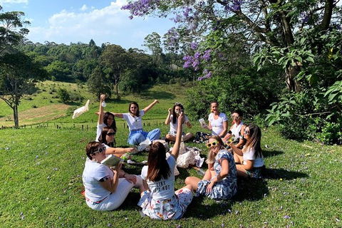 Full Day Mount Tamborine Winery Tour From Gold Coast - Accommodation NSW 11