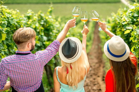 Full Day Mount Tamborine Winery Tour From Gold Coast - Accommodation NSW 14