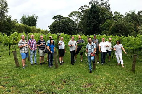 Full Day Mount Tamborine Winery Tour From Gold Coast - Accommodation NSW 7