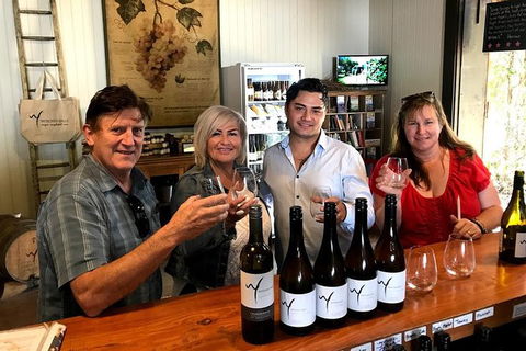 Full Day Mount Tamborine Winery Tour From Gold Coast - Accommodation NSW 4