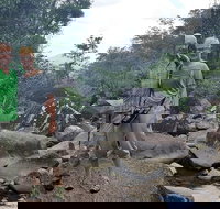 Personalised Private Platypus Land Tour - Accommodation NSW