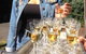 Mount Tamborine Wine Tasting Tour From Brisbane Or The Gold Coast - thumb 9