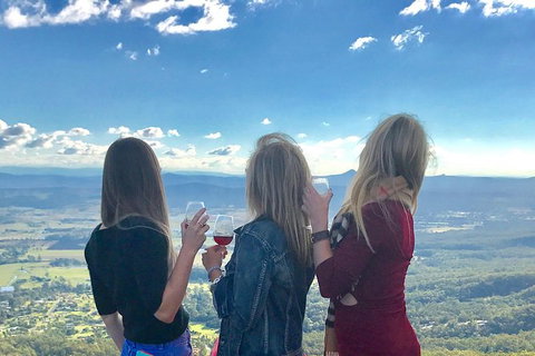 Mount Tamborine Wine Tasting Tour From Brisbane Or The Gold Coast - Accommodation NSW 7
