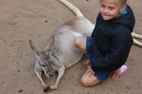 Gold Coast Attraction Pass Including Currumbin Wildlife Sanctuary And Paradise Jetboating - Accommodation NSW 3