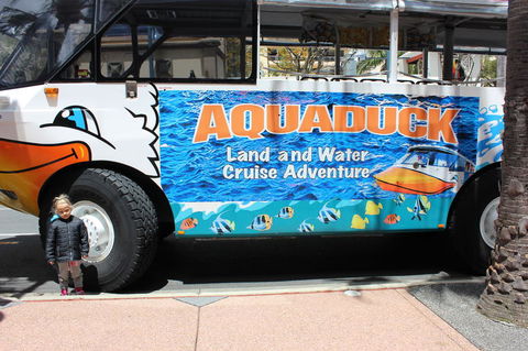 Gold Coast Attraction Pass Including Currumbin Wildlife Sanctuary And Paradise Jetboating - Accommodation NSW 2