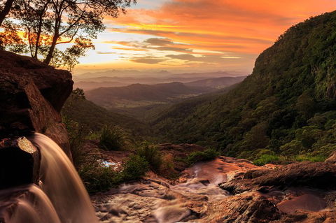 O\'Reilly\'s & Lamington National Park Incl. Alpaca Farm + Vineyard - Accommodation NSW 6