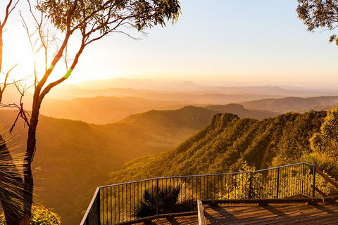 O\'Reilly\'s & Lamington National Park Incl. Alpaca Farm + Vineyard - Accommodation NSW 3