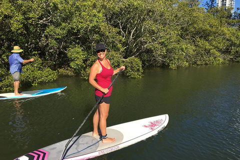 Stand Up Paddle Hire - Accommodation NSW 1