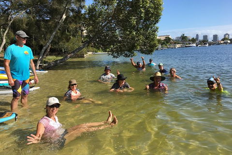 Stand Up Paddle Hire - Accommodation NSW 3