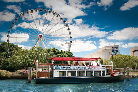 Brisbane Highlights And Lone Pine Cruise From Gold Coast - Accommodation NSW 0