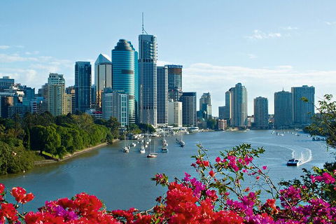 Brisbane Highlights And Lone Pine Cruise From Gold Coast - Accommodation NSW 5