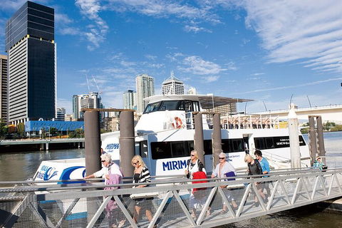 Brisbane Highlights And Lone Pine Cruise From Gold Coast - Accommodation NSW 13