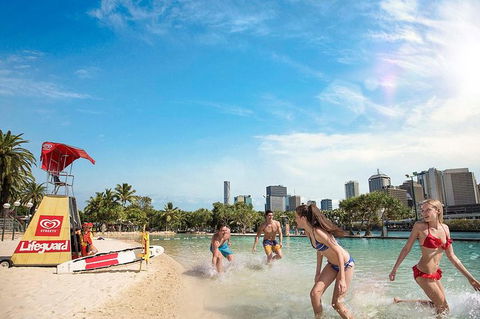 Brisbane Highlights And Lone Pine Cruise From Gold Coast - Accommodation NSW 9