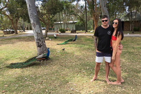 Surfers Paradise Stand Up Paddle Tour - Accommodation NSW 5
