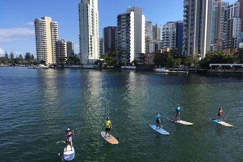 Surfers Paradise Stand Up Paddle Tour - Accommodation NSW 3