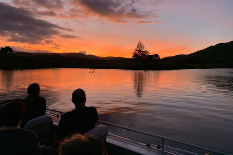 Daintree River Dawn Cruise - Accommodation NSW 8