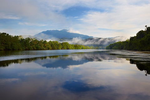 Daintree River Dawn Cruise - Accommodation NSW 5