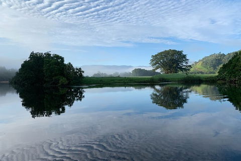 Daintree River Dawn Cruise - Accommodation NSW 3