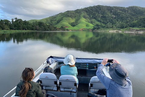 Daintree River Dawn Cruise - Accommodation NSW 2