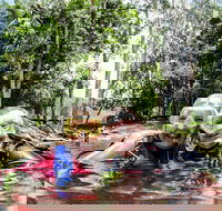 Rainforest Platypus Night Dive Certified Divers Only once day dive completed - Accommodation NSW