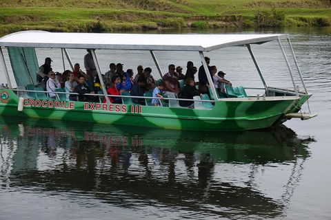Daintree River Cruise - Accommodation NSW 2