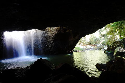 Rainforest & Waterfalls Extravaganza - Accommodation NSW 5