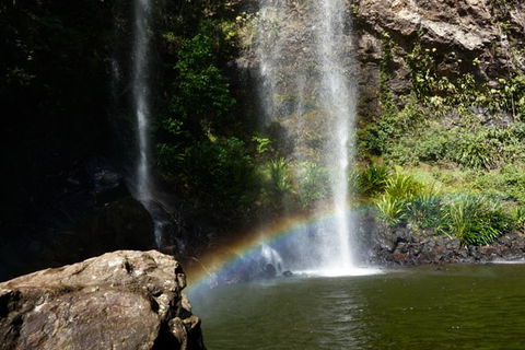 Rainforest & Waterfalls Extravaganza - Accommodation NSW 4