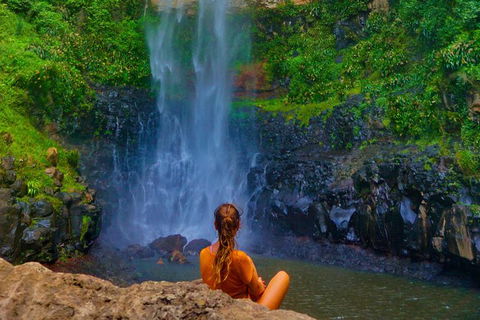 Rainforest & Waterfalls Extravaganza - Accommodation NSW 11
