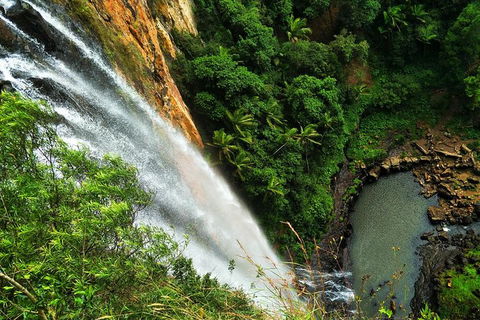 Rainforest & Waterfalls Extravaganza - Accommodation NSW 2