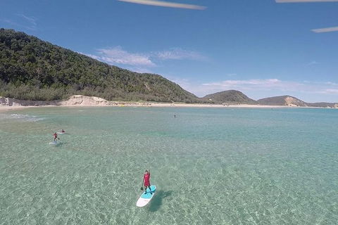 Stand Up Paddle Double Island Lesson - Accommodation NSW 11