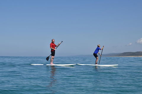 Stand Up Paddle Double Island Lesson - Accommodation NSW 9
