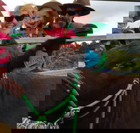 Mackay's Day in the Clouds Paddock to Plate Tour - Accommodation NSW