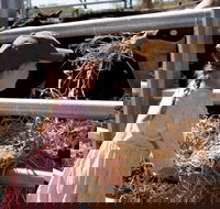 Mackay Farm Food and Flavours Tour - Accommodation NSW