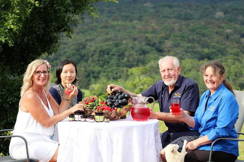 Atherton Tablelands Small-Group Food & Wine Tasting Tour From Port Douglas - Accommodation NSW 17