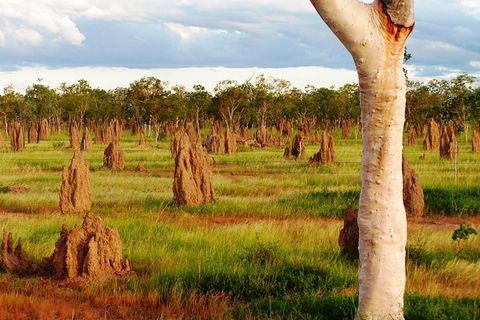 Atherton Tablelands Small-Group Food & Wine Tasting Tour From Port Douglas - Accommodation NSW 18