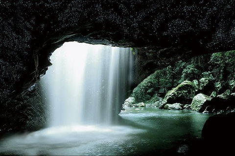 Natural Bridge Glow Worm Night Tour From Gold Coast - Accommodation NSW 0